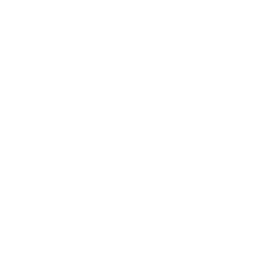 High Speed Private Elevators